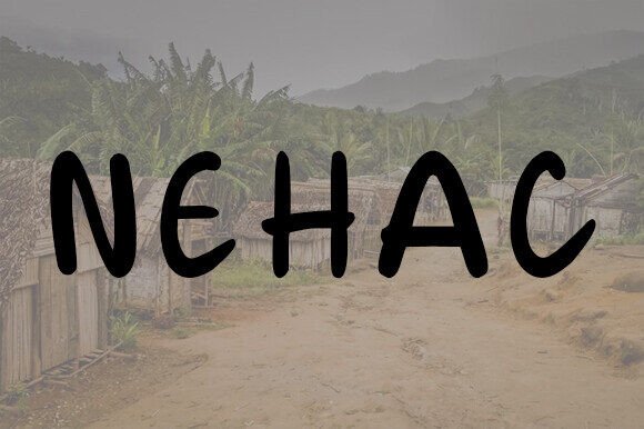 Nehac: The Perfect Duo-Style Font for Creative Branding